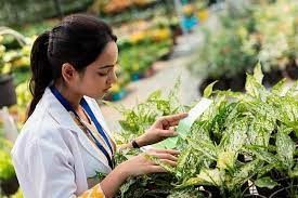 Top Careers in Food and Agri-business