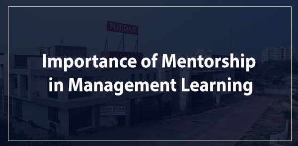 Importance of Mentorship in Management Learning