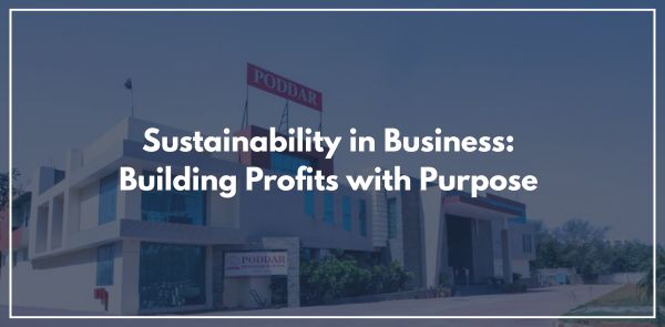 Sustainability in Business Building Profits with Purpose