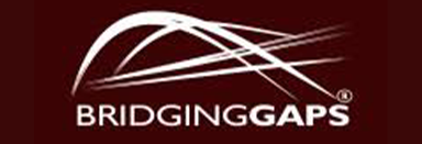 BridgingGap